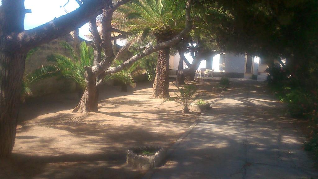 Fotografie z fotogalerie ubytování Villa X v destinaci Denia