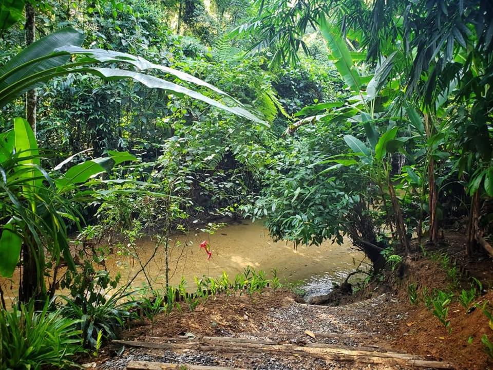  Recanto Do Pontal Camping