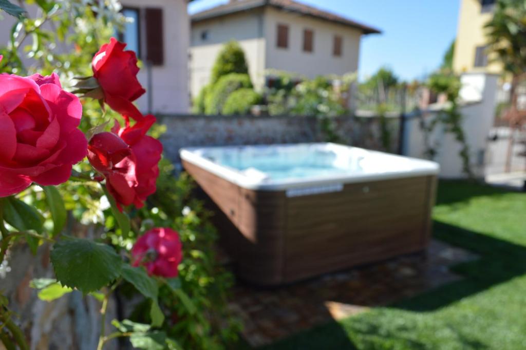 una bañera de hidromasaje en un patio con rosas rojas en Casa Pulci, en Grinzane Cavour