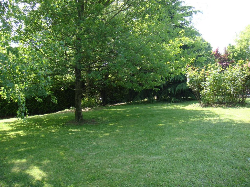 Zahrada ubytování B&B San Nicolò