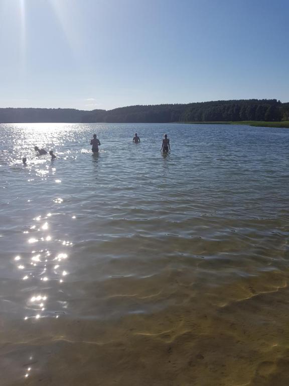 Príroda v okolí dovolenkového domu