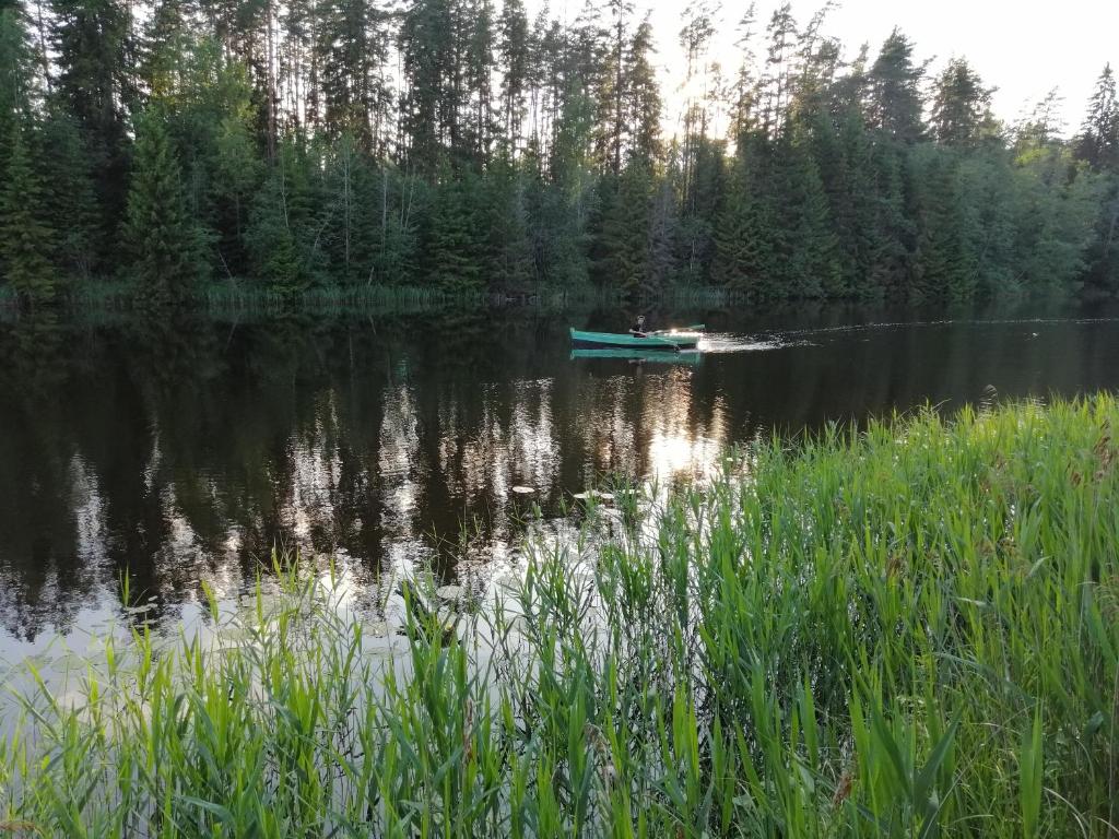 Příroda nedaleko chaty