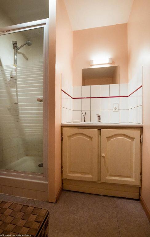 La salle de bains est pourvue d&#39;une douche et d&#39;un lavabo. dans l&#39;établissement Gîte La Saônoise, à Conflandey