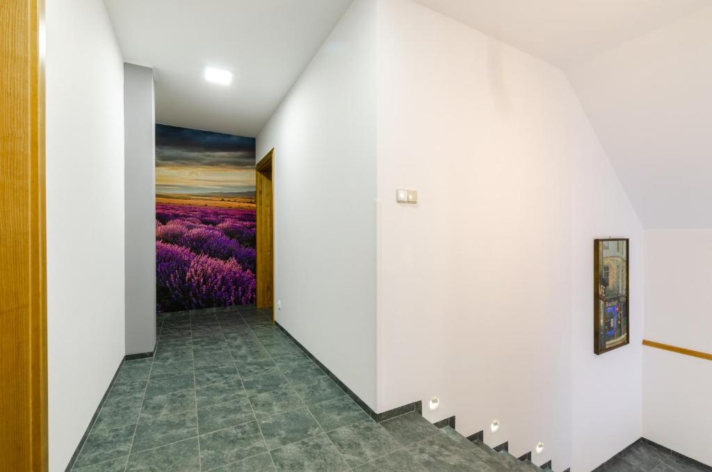 Lawendowy Zakatek - 15