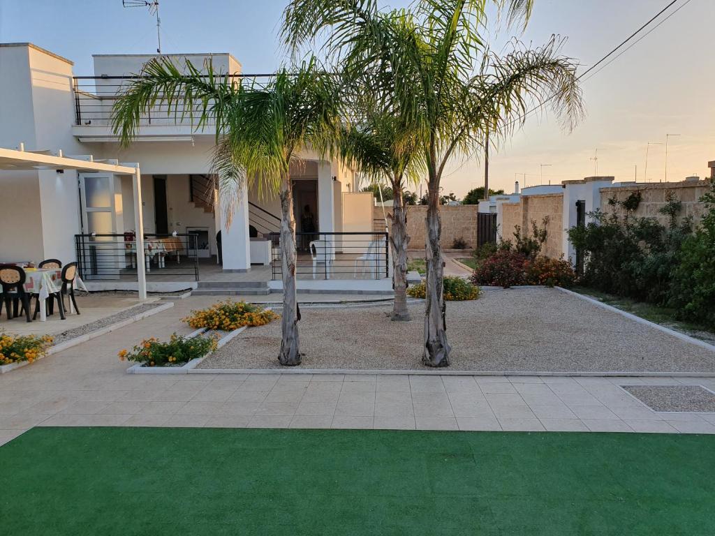 a house with palm trees and a green lawn at Exotic B&B in Porto Cesareo