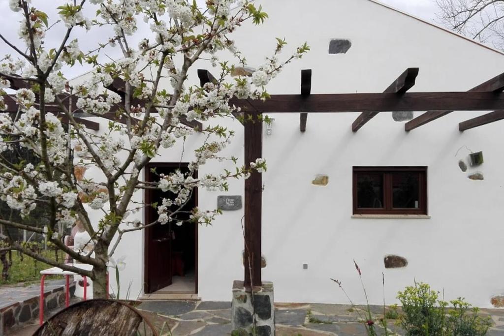 un bâtiment blanc avec un arbre devant lui dans l'établissement Casa da Tileira, à Penacova