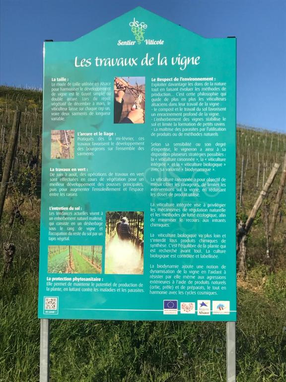 LE MUSCAT – photo 18