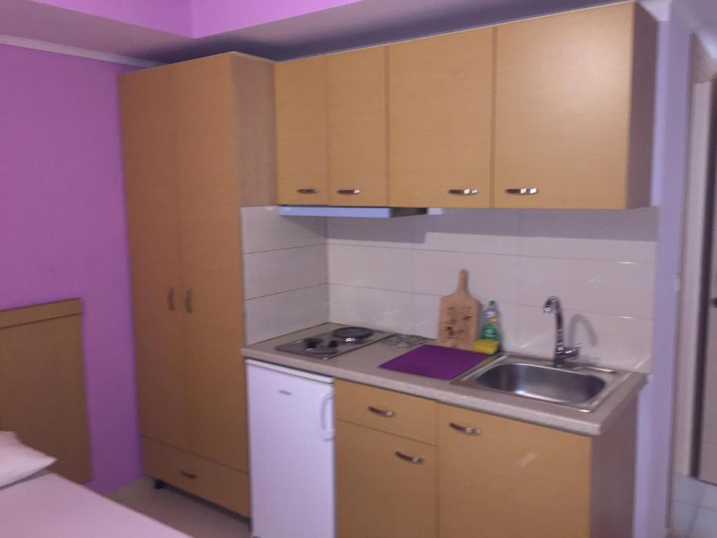 Kuchyň nebo kuchyňský kout v ubytování Dimis Studios and Apartments