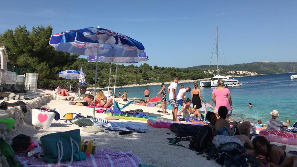 Príroda v okolí apartmánu