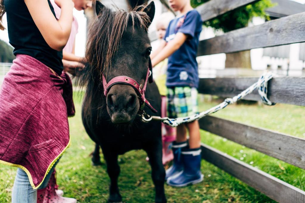 two children are standing next to a small pony at Gut Neusess in Mauterndorf