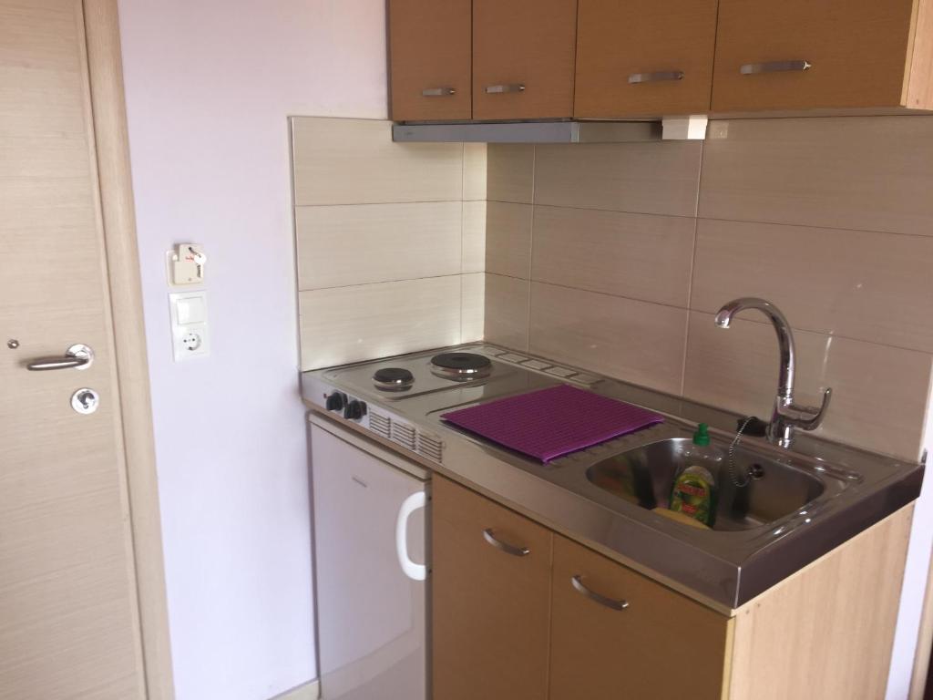 Kuchyň nebo kuchyňský kout v ubytování Dimis Studios and Apartments