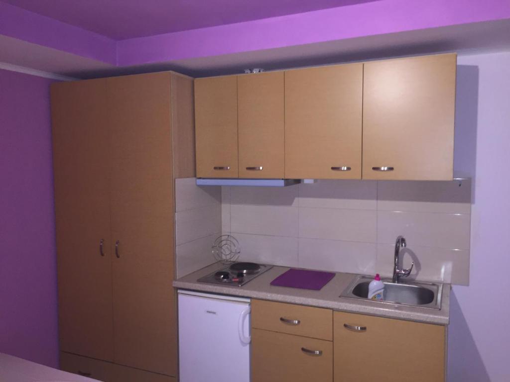 Kuchyň nebo kuchyňský kout v ubytování Dimis Studios and Apartments