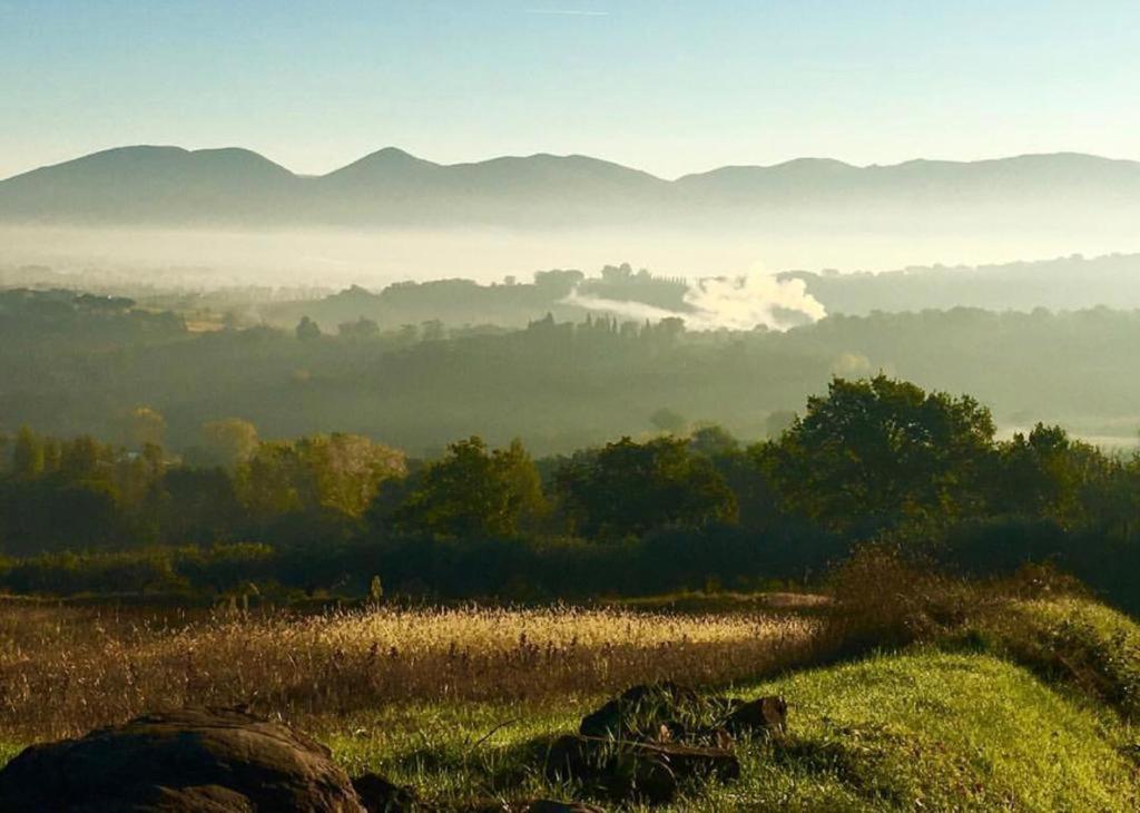 a field of grass with mountains in the background at Casale Bastida in Bevagna