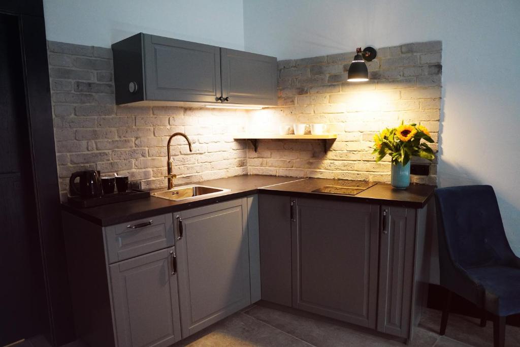 Kuchyňa alebo kuchynka v ubytovaní Apartamenty Centrum RS SUITES Kowalska 12