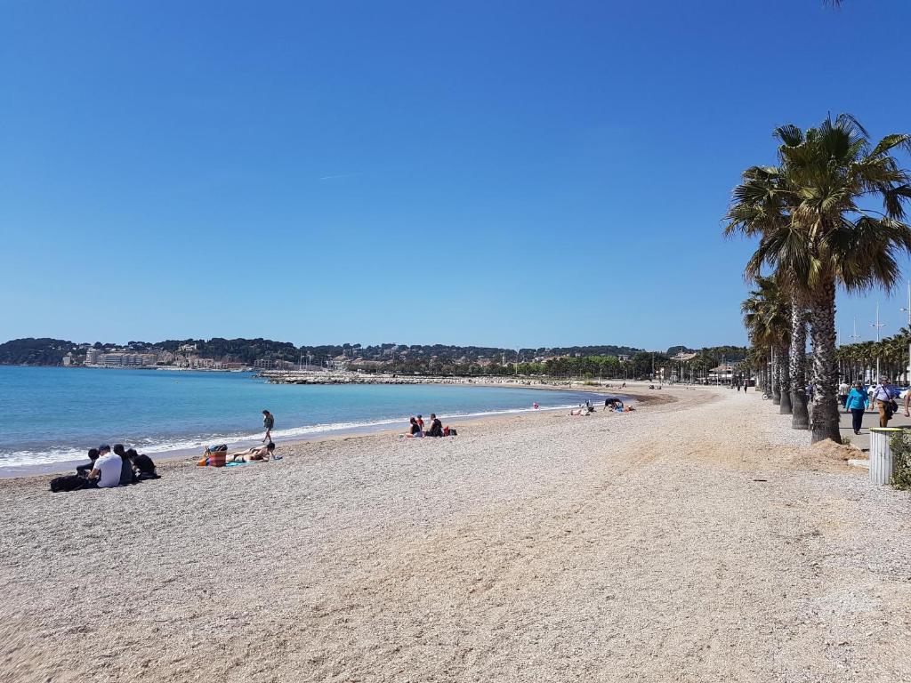 un groupe de personnes sur une plage avec des palmiers dans l'établissement LE PATIOT 2, à Six-Fours-les-Plages