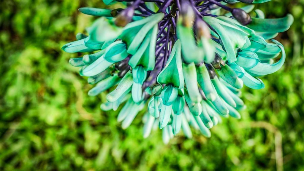 Balsora Hotel Boutique