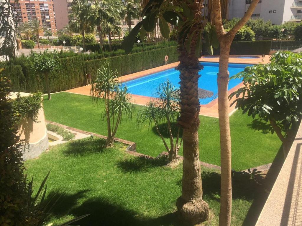 - une piscine dans une cour avec des palmiers dans l'établissement NIAGARA - LA CALA, à La Cala de Finestra