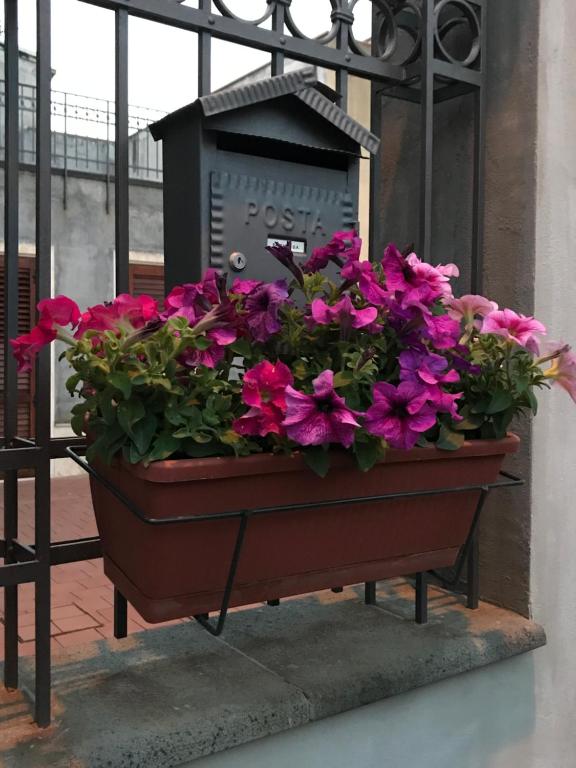 Kép Il Borghetto di San Giuseppe EtnaRooms&Apartments szállásáról Nicolosiban a galériában