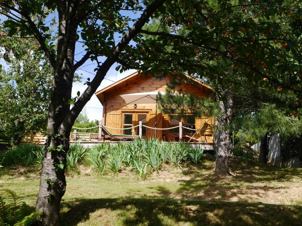 a wooden cabin with trees in front of it at Le Chalet in Prémian