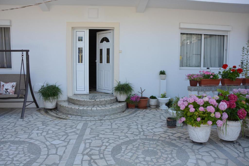 Zahrada ubytování Guest House Vera