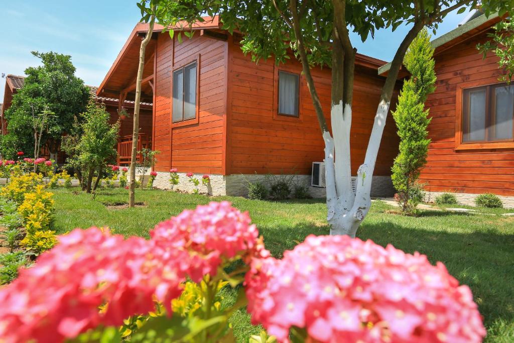 a house with pink flowers in front of it at Merry Bungalow & Tent in Cıralı