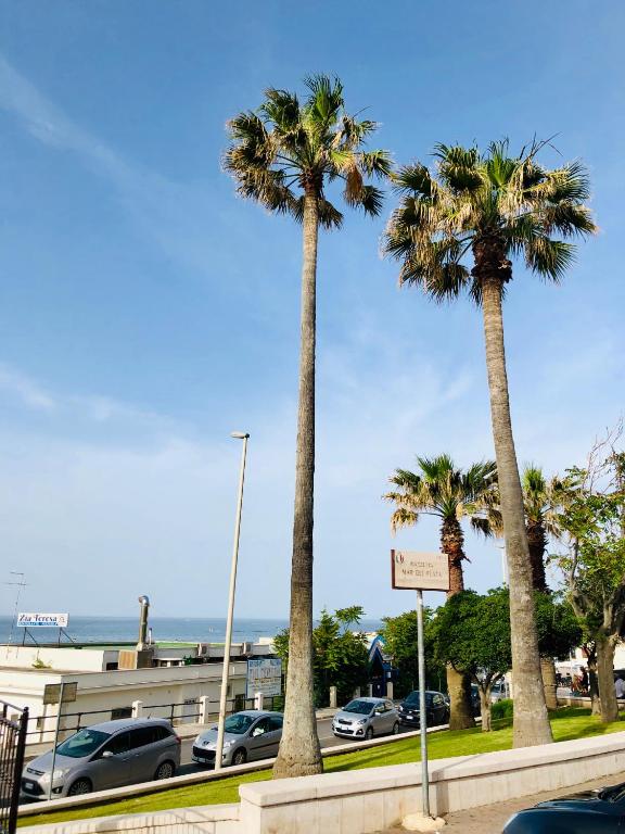 two palm trees in a parking lot near the ocean at Relax House in Bari