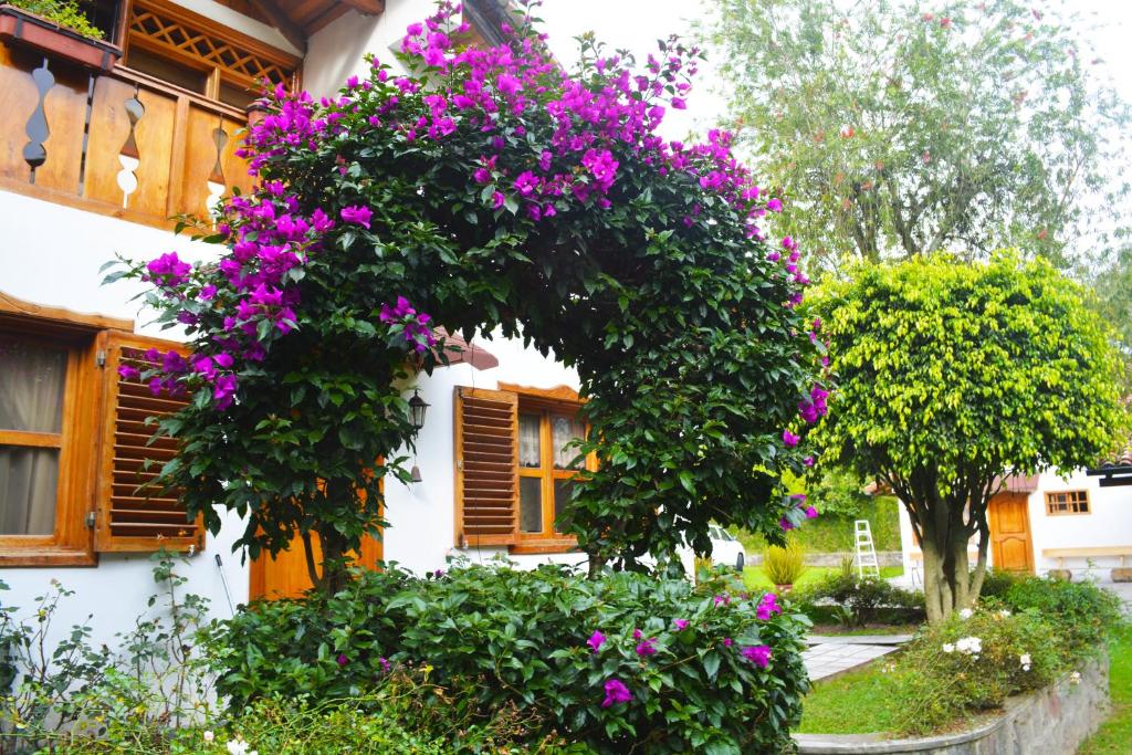 Zahrada ubytování Quinta La Constanza