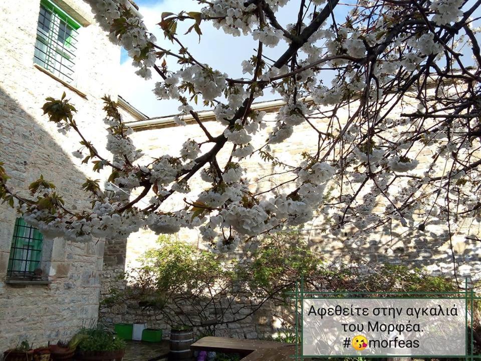 Fotografie z fotogalerie ubytování Morfeas Guesthouse v destinaci Papigko