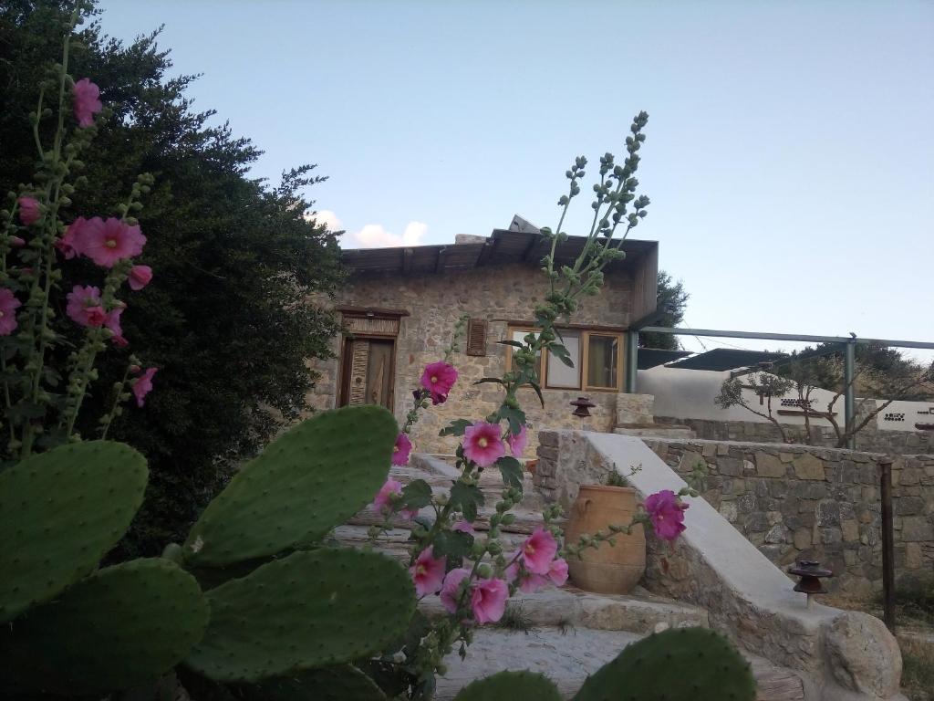 une maison avec des fleurs roses devant elle dans l'établissement Dream Residence, à Áyios Ioánnis