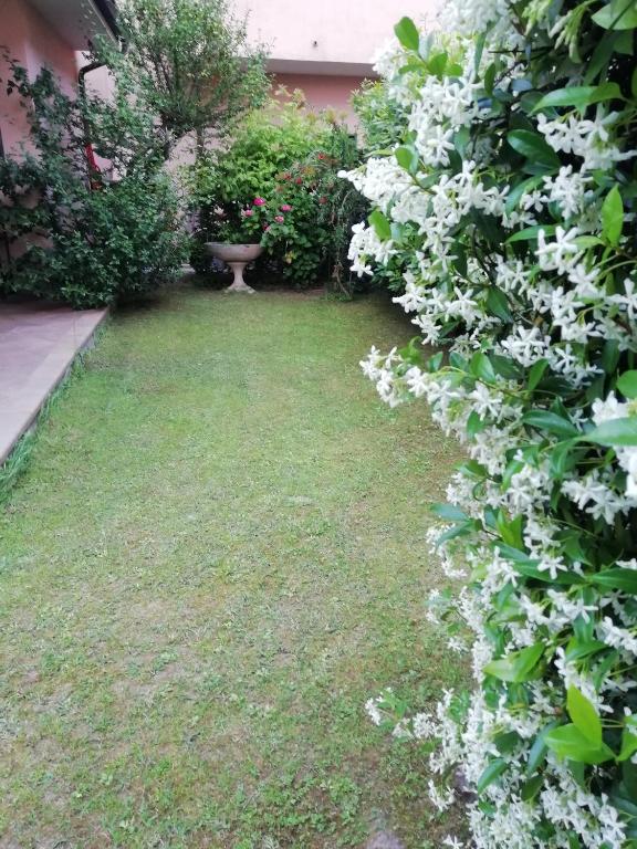 A garden outside sole mare versilia