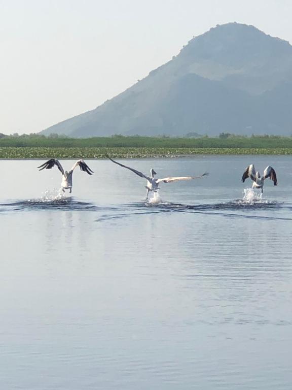 Lux Apartment Sunset - 19