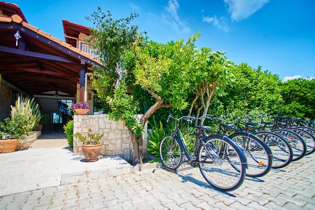 Jízda na kole v ubytování Renka Hotel & Spa nebo okolí