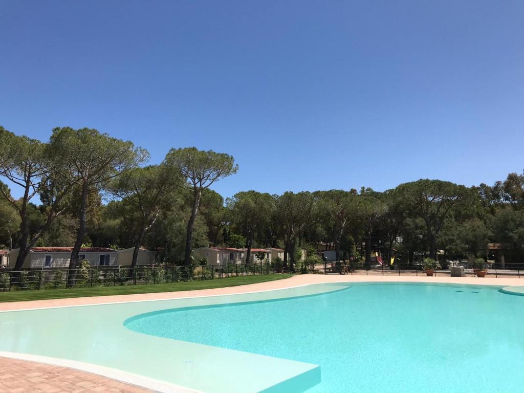 duży błękitny basen z drzewami w tle w obiekcie Camping I Melograni w mieście Marina di Bibbona