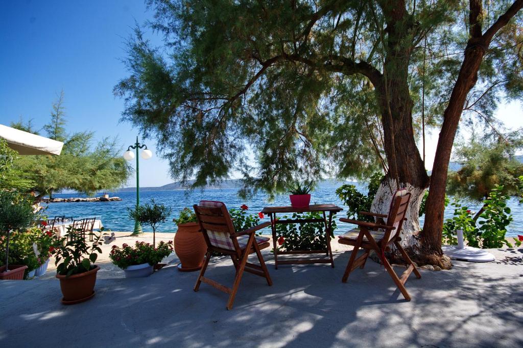 un tavolo e sedie sotto un albero accanto all'acqua di Alexandra Studios 2 a Città di Alonissos