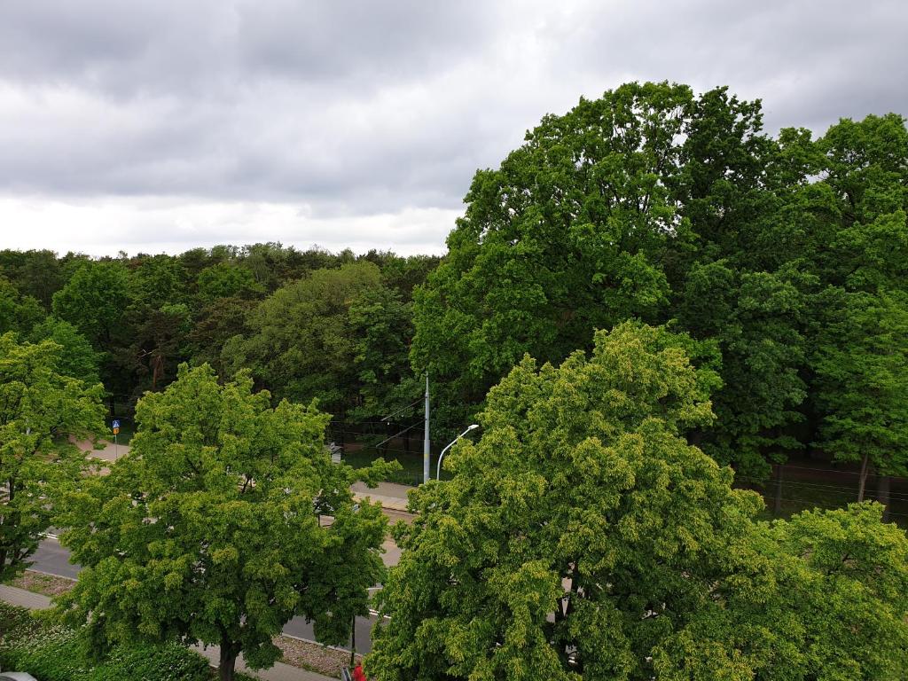 Príroda v okolí apartmánu
