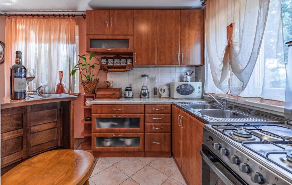 Kuchyň nebo kuchyňský kout v ubytování Apartment Meri