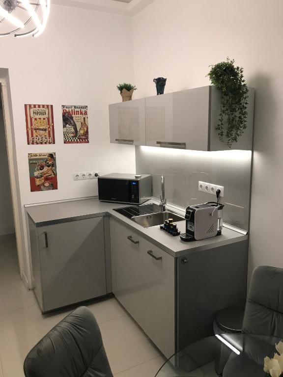 Kuchyň nebo kuchyňský kout v ubytování City Corso Apartman