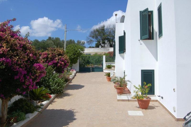 un patio con macetas y un edificio blanco en Case Vacanza La Serricella, en Santa Cesarea Terme
