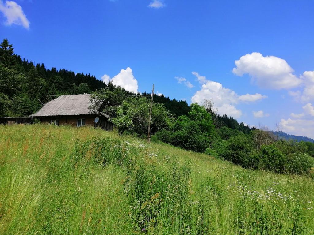 una casa vieja al lado de una colina en Cottage Svitanok, en Lopushnoye