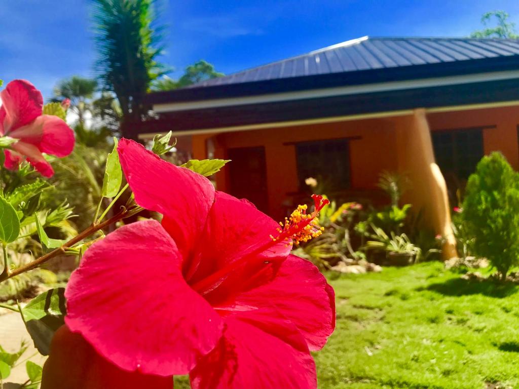 Ein Garten an der Unterkunft Chekesh Casa