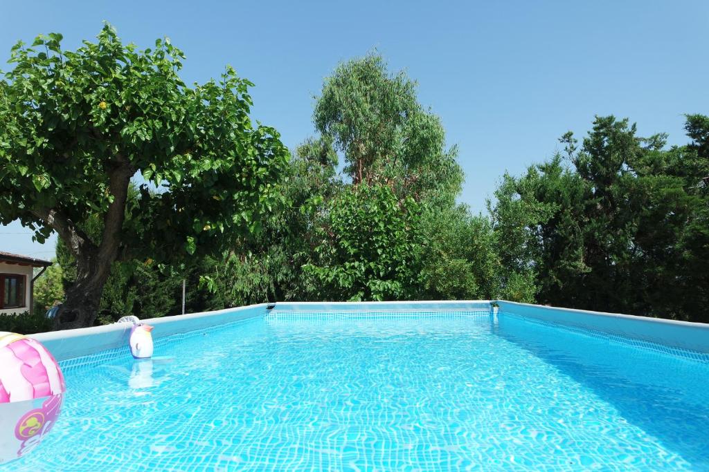 uma grande piscina azul com árvores ao fundo em Casa Elena em Ascea
