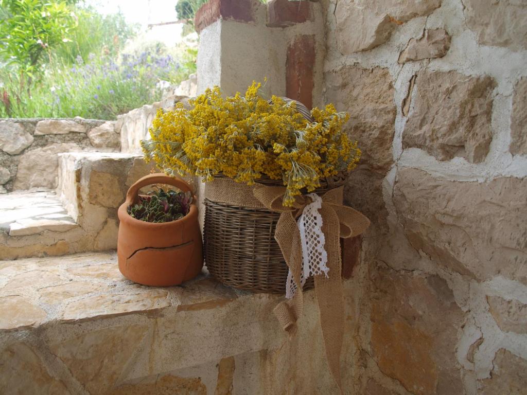 a basket with yellow flowers next to a flower pot at konoba in Rab