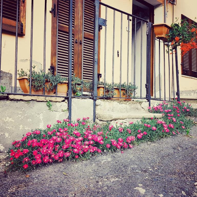 Ogród w obiekcie La Ca' d' Rina Casa Vacanze