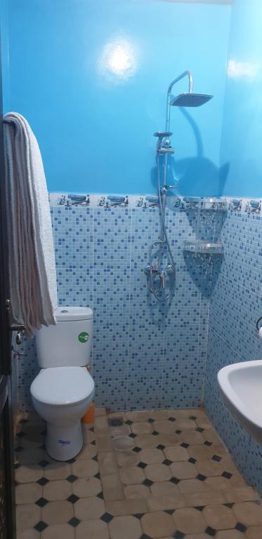 a bathroom with a toilet and a sink at Toubkal Garden in Imlil