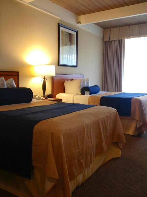 Mikado Hotel - Standard Double Room With Two Double Beds