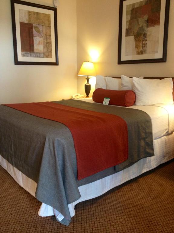 Mikado Hotel - Queen Room - Disability Access