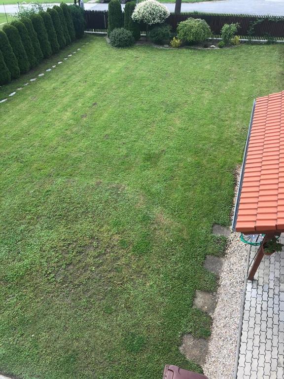 Vonkajšia záhrada v ubytovaní Ladislav