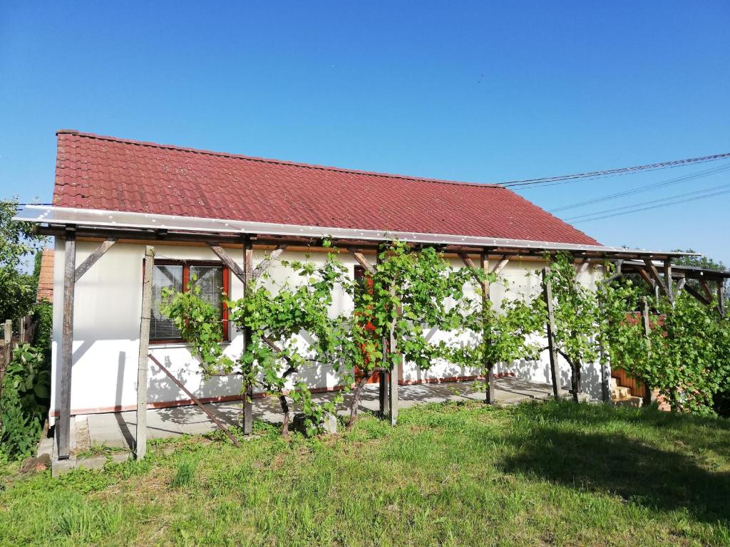 Ogród w obiekcie Apartmán s vinným sklepem Four Grapes