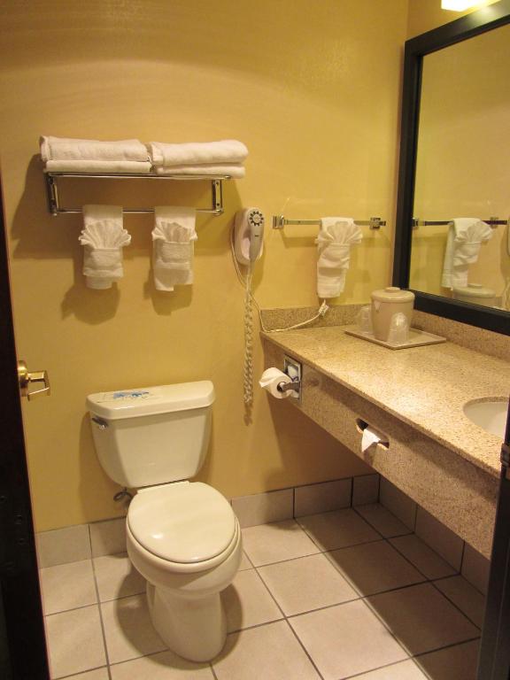 Comfort Inn & Suites - 
