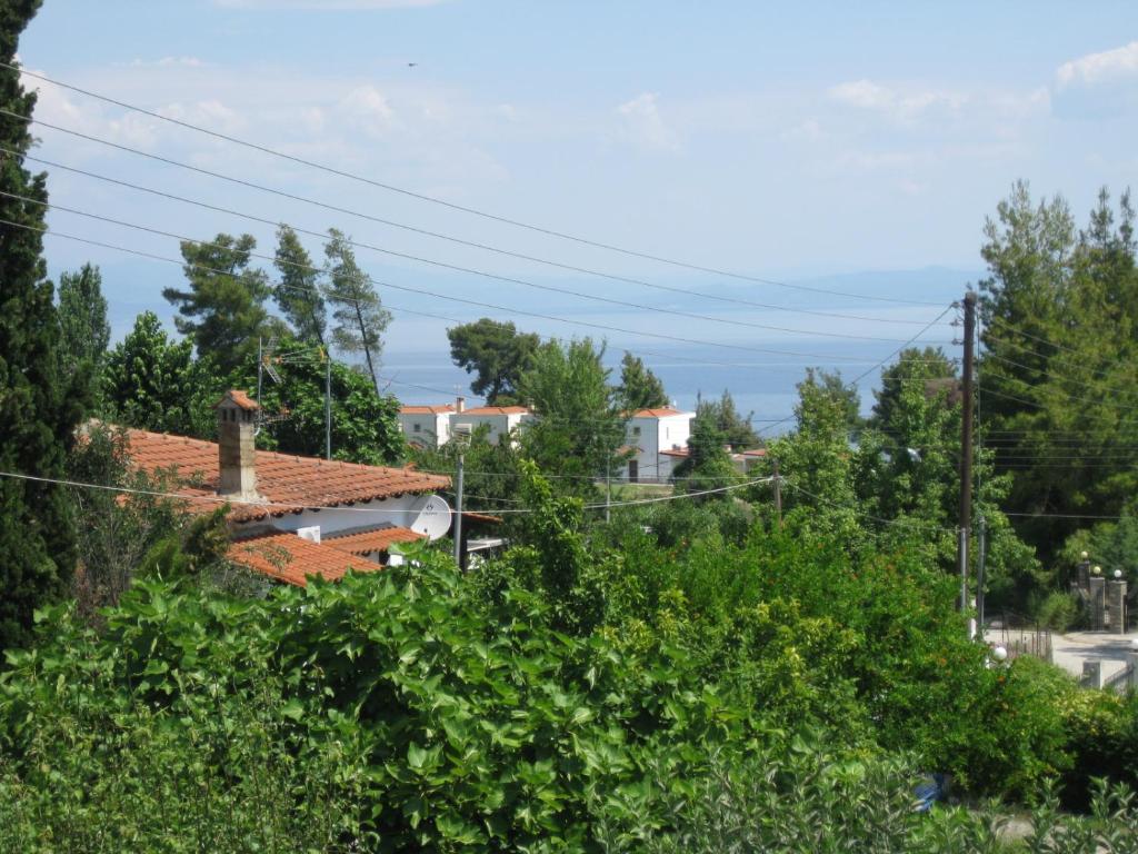 Příroda nedaleko apartmánu